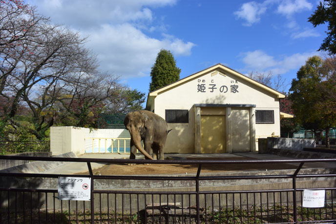 【兵庫】「姫路駅はどこ」道案内で呼び止め、女子高生に抱きつきキスした疑い…ネパール人の男逮捕「ハグはしたが、キスはしてない」 ★2